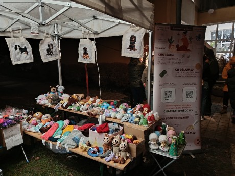 591731074_2083417475740974_7154975468850152819_n