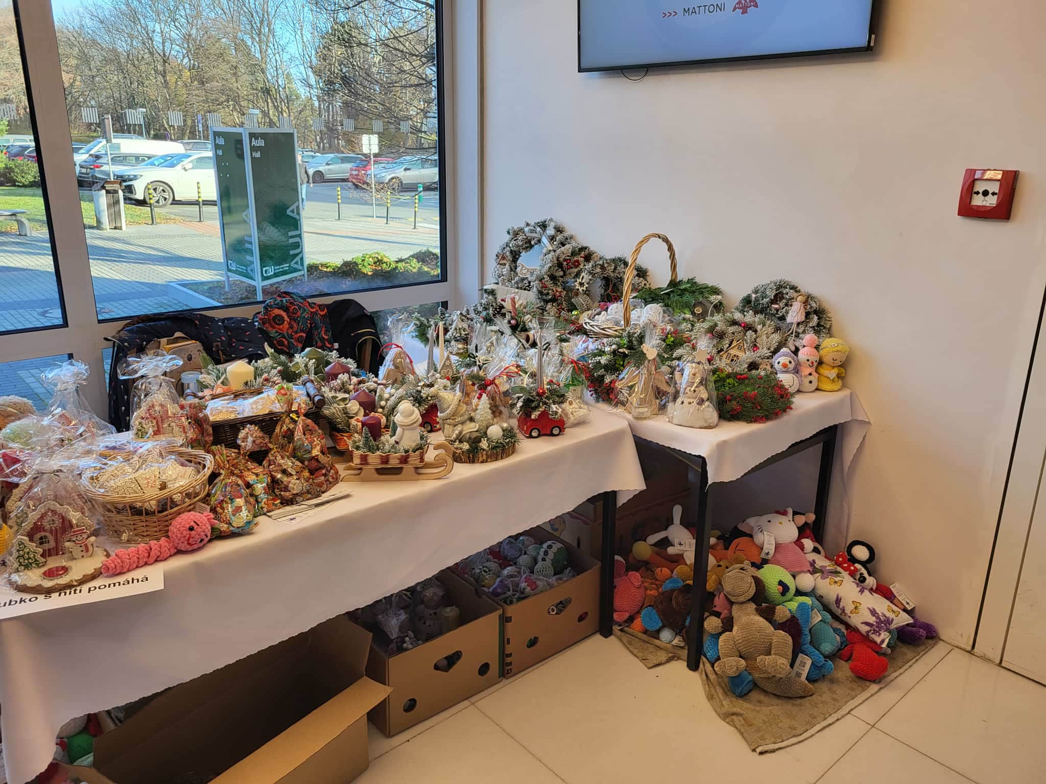 586170726_2076929216389800_6466885377209767850_n