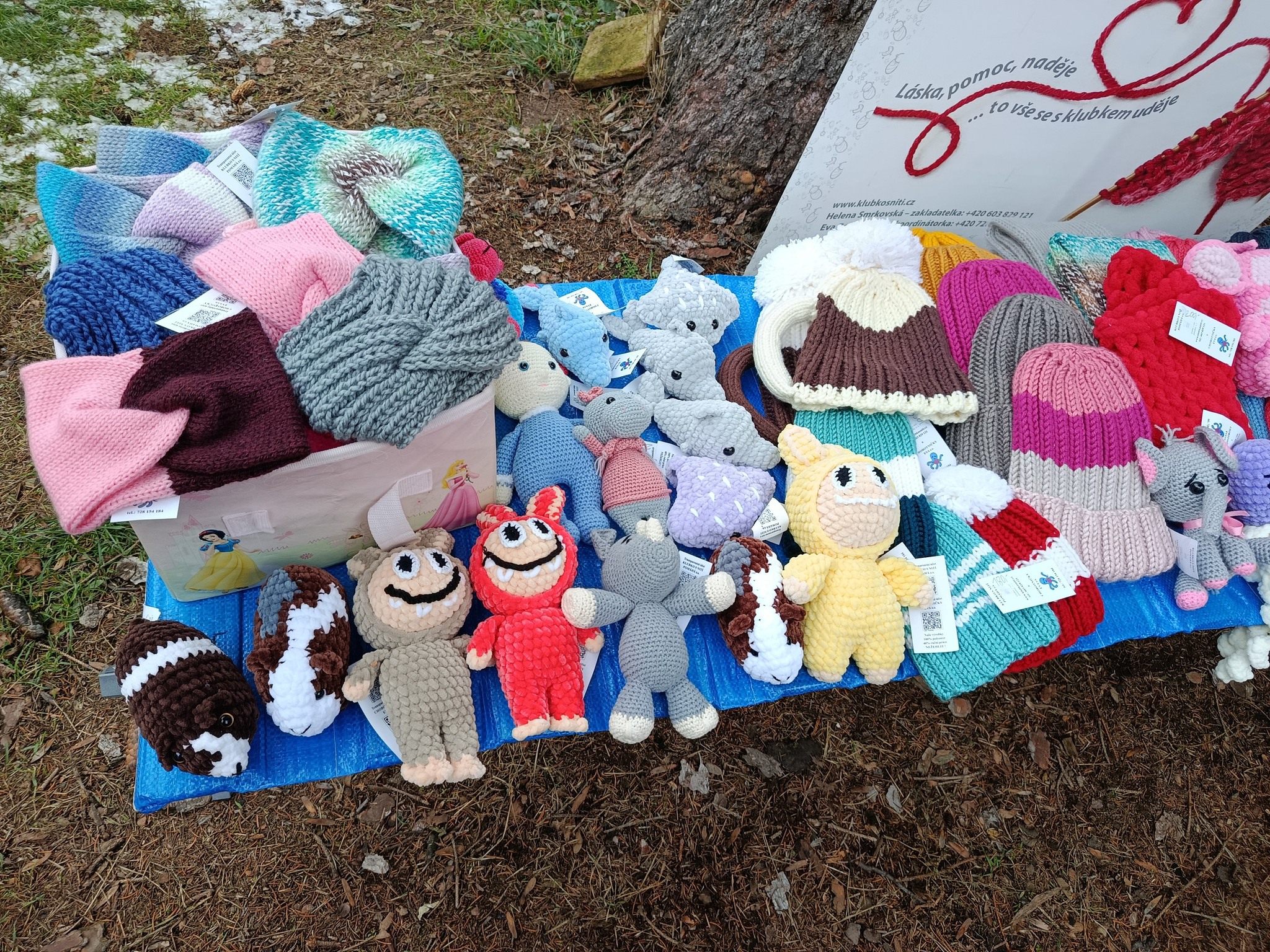 588843831_2082356439180411_6366904167633190770_n